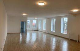 Hala finisata 590 mp ideal depozitare/activitati logistice, zona benzinariei Mol