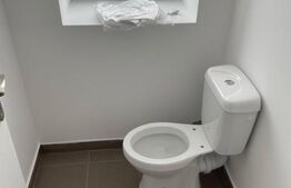 Hala finisata 590 mp ideal depozitare/activitati logistice, zona benzinariei Mol