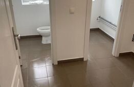 Hala finisata 590 mp ideal depozitare/activitati logistice, zona benzinariei Mol