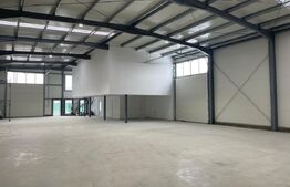 Hala finisata 590 mp ideal depozitare/activitati logistice, zona benzinariei Mol