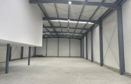 Hala finisata 590 mp ideal depozitare/activitati logistice, zona benzinariei Mol