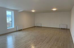 Hala finisata 590 mp ideal depozitare/activitati logistice, zona benzinariei Mol