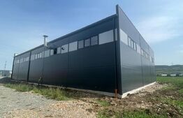 Hala, 600 mp, pretabila pentru logistica, zona Floresti