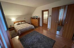 Casa individuala de 164 mp, 325 mp teren, zona Cetatii.