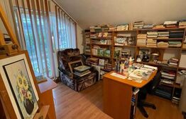 Casa individuala de 164 mp, 325 mp teren, zona Cetatii.