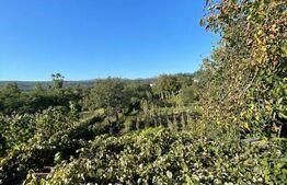 Casa individuala + anexa si gospodarie , 247 mp , 3 nivele, 1669 gradina, Gilau 