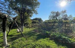 Casa individuala + anexa si gospodarie , 247 mp , 3 nivele, 1669 gradina, Gilau 