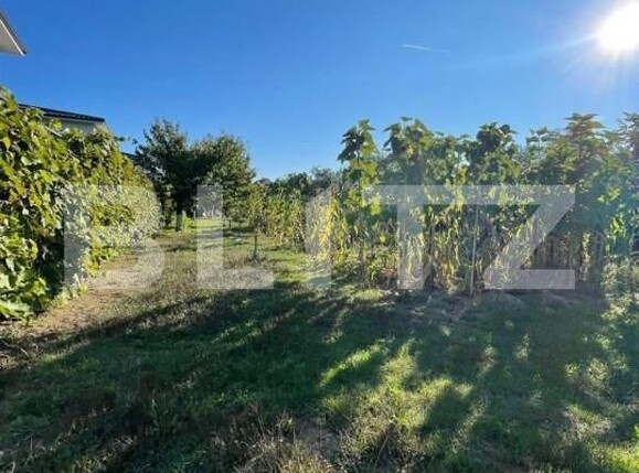 Casa de vânzare 7 camere Exterior Vest - 146601CV | BLITZ Cluj-Napoca | Poza11