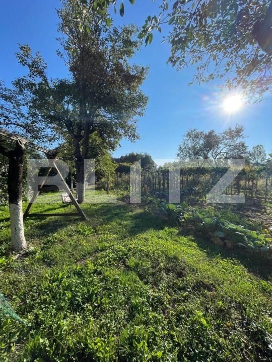 Casa de vânzare 7 camere Exterior Vest - 146601CV | BLITZ Cluj-Napoca | Poza10