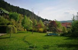 Vila exclusivista , 300 mp utili, teren de 1600 mp, piscina! Panorama deosebita!