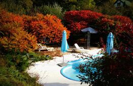 Vila exclusivista , 300 mp utili, teren de 1600 mp, piscina! Panorama deosebita!