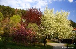 Vila exclusivista , 300 mp utili, teren de 1600 mp, piscina! Panorama deosebita!
