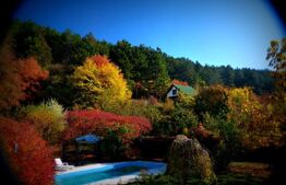 Vila exclusivista , 300 mp utili, teren de 1600 mp, piscina! Panorama deosebita!