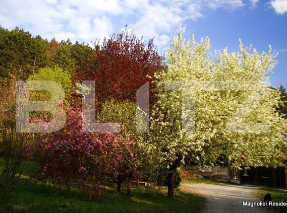 Casa de vânzare 5 camere Floreşti - 146612CV | BLITZ Cluj-Napoca | Poza12