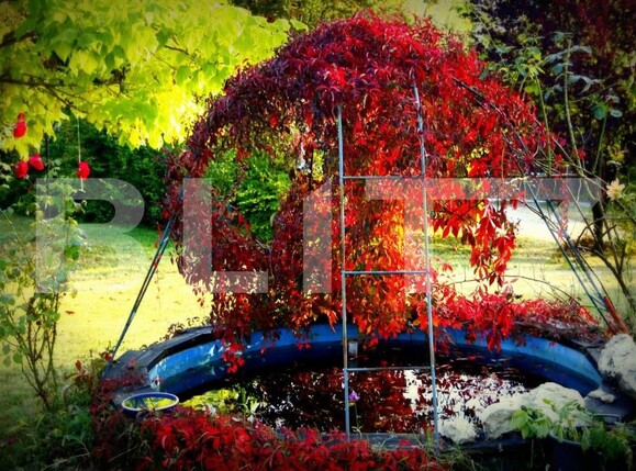 Casa de vânzare 5 camere Floreşti - 146612CV | BLITZ Cluj-Napoca | Poza10