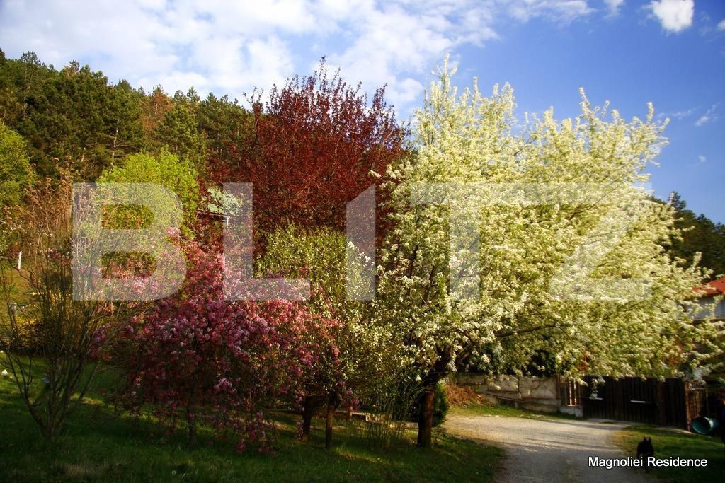 Casa de vânzare 5 camere Floreşti - 146612CV | BLITZ Cluj-Napoca | Poza12