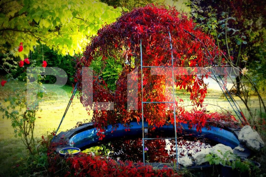 Casa de vânzare 5 camere Floreşti - 146612CV | BLITZ Cluj-Napoca | Poza10