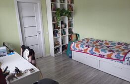 Duplex mobilat si utilat, 136 mp, 343 mp, panouri fotovoltaice,zona Tineretului 