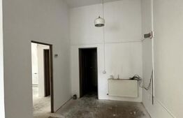 Spatiu comercial la strada, 64 mp, parcare, zona Porii