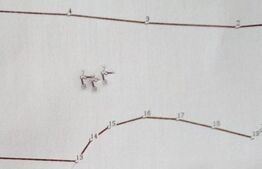 Teren pentru construire de case sau duplexuri, zona Tauti