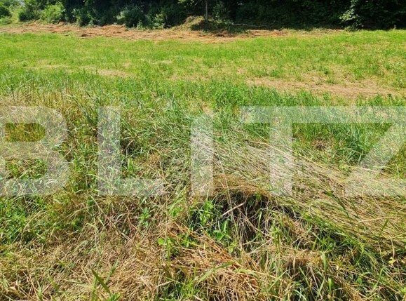 Teren de vânzare Floreşti - 146627TV | BLITZ Cluj-Napoca | Poza1