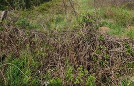 Teren intravilan, 400, 800 mp sau 1200 mp, zona Brico Depot