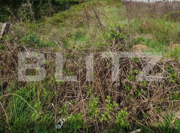 Teren de vânzare Floreşti - 146630TV | BLITZ Cluj-Napoca | Poza2