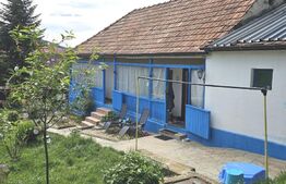 Casa individuala in inima orasului 