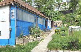 Casa individuala in inima orasului 