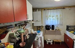 Casa individuala in inima orasului 