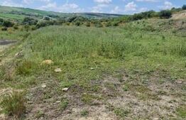 Teren, 1000 mp, Valea Fanatelor