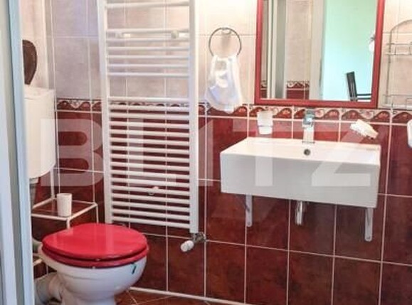 Casa de închiriat 6 camere Drumul Poienii - 146707CI | BLITZ Brașov | Poza13