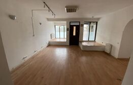 Casa cu 13 camere, 500 mp, zona Bartolomeu