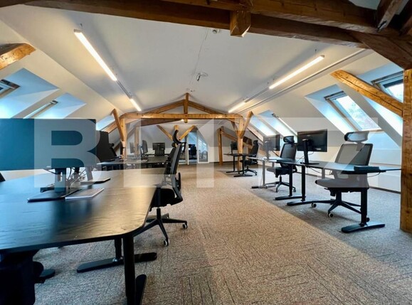 Spațiu birouri de închiriat Central - 146712SIB | BLITZ Cluj-Napoca | Poza7