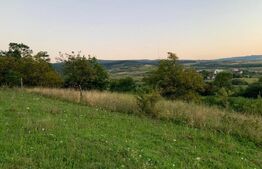 Teren intravilan,18000 mp, situat in  Sopor, Exclusivitate! 