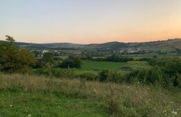 Teren intravilan,18000 mp, situat in  Sopor, Exclusivitate! 