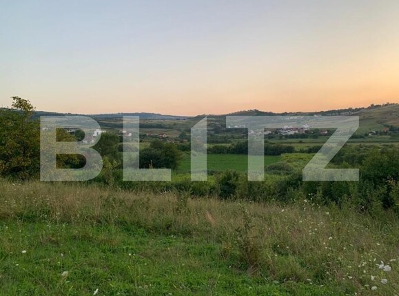 Teren de vânzare Sopor - 146724TV | BLITZ Cluj-Napoca | Poza1