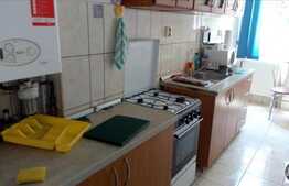 2 camere, 60 mp utili, boxa la subsol, curte, zona strazii Horea