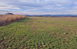 Teren intravilan, 8700mp,Prejmer