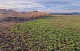 Teren intravilan, 8700mp,Prejmer