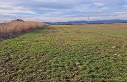 Teren intravilan, 8700mp,Prejmer