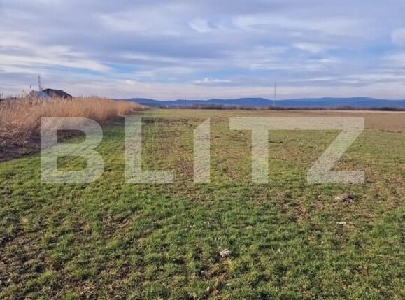 Teren de vânzare Nord-Est - 146752TV | BLITZ Brașov | Poza1