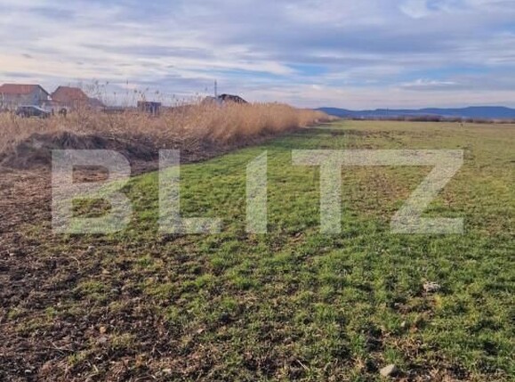 Teren de vânzare Nord-Est - 146752TV | BLITZ Brașov | Poza3