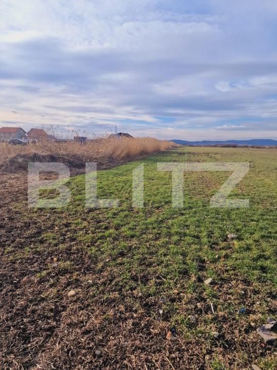 Teren de vânzare Nord-Est - 146752TV | BLITZ Brașov | Poza3