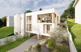 Teren exclusivist, 572mp, Andrei Muresanu 