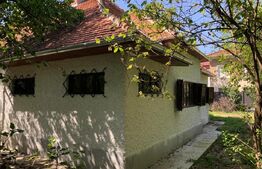 Comoara in stil transilvanean, spatiu comercial, 225mp, Central