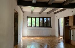 Comoara in stil transilvanean, spatiu comercial, 225mp, Central