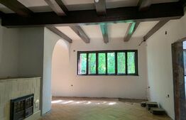 Comoara in stil transilvanean, spatiu comercial, 225mp, Central