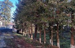 Comoara in stil transilvanean, spatiu comercial, 225mp, Central