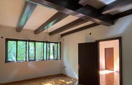 Comoara in stil transilvanean, spatiu comercial, 225mp, Central